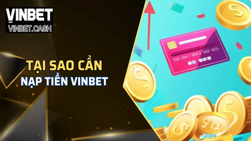 nap tien vinbet 1 Ví Momo hiện nay được sử dụng phổ biến